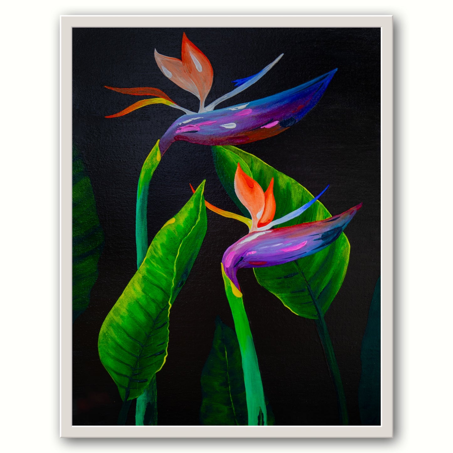 ‘Eccentric Birds Of Paradise’ Print