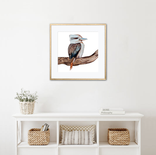Electric Kookaburra Watercolour Illustration Print